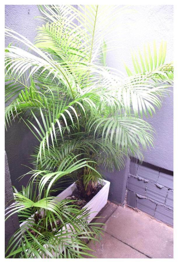 Beach House Ilha Grande Hostel ภายนอก รูปภาพ
